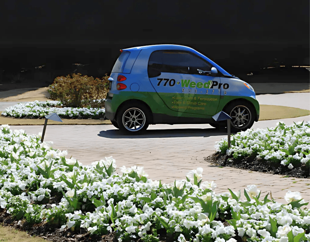 A compact WeedPro-branded car parked on a brick driveway, surrounded by white flowering beds, showcasing professional lawn care arrival.