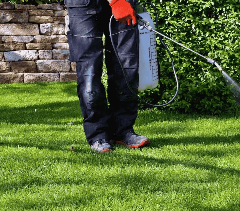 Close-up of a technician’s hand spraying pre-emergent herbicide along a lawn’s edge with a handheld pump sprayer, preventing weed germination.