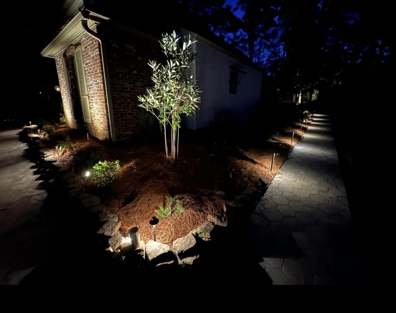 A beautifully lit garden and walkway with energy-efficient LED landscape lighting.