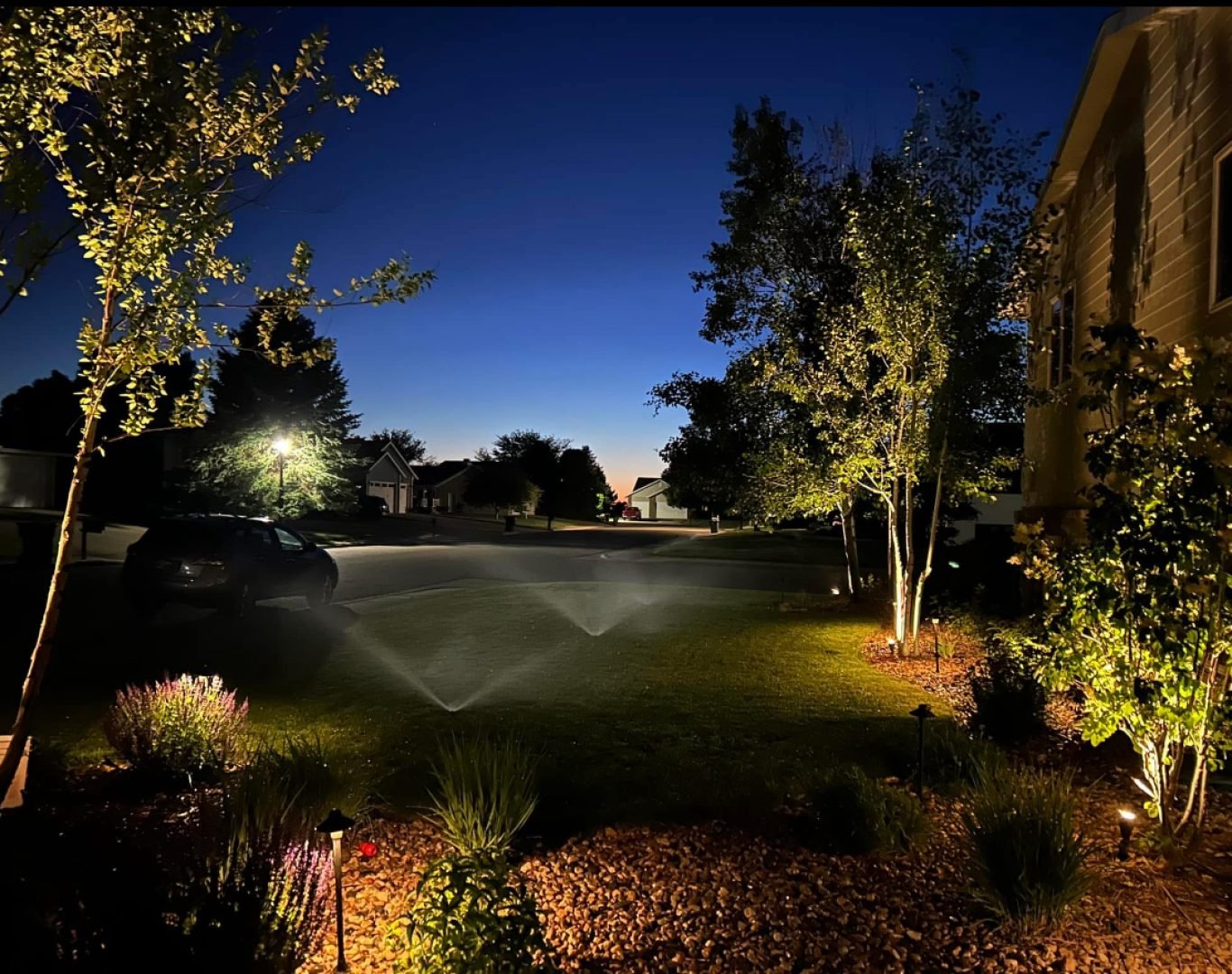 A beautifully lit garden and walkway with energy-efficient LED landscape lighting.