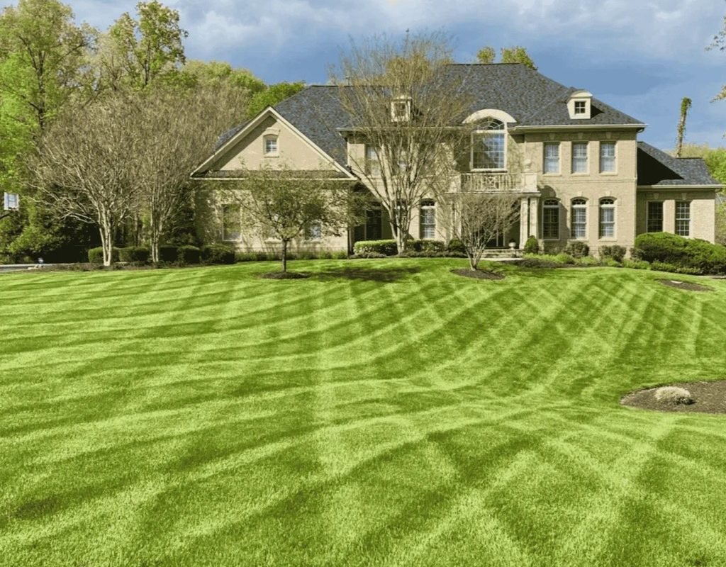 Expansive striped green lawn in front of an upscale house, illustrating dense turf achieved through overseeding.
