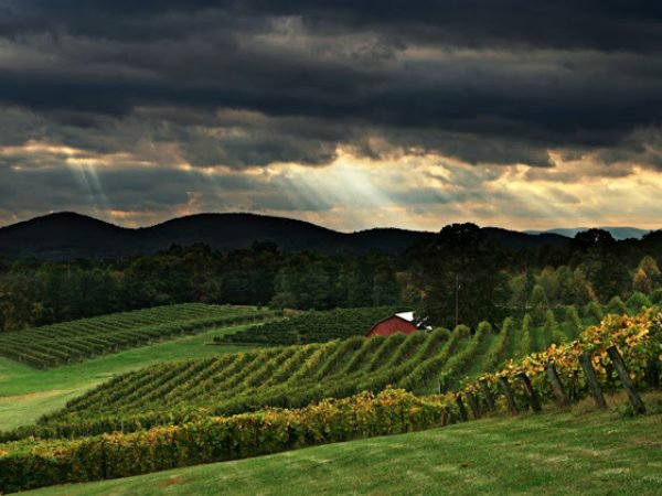 Lumpkin County, GA