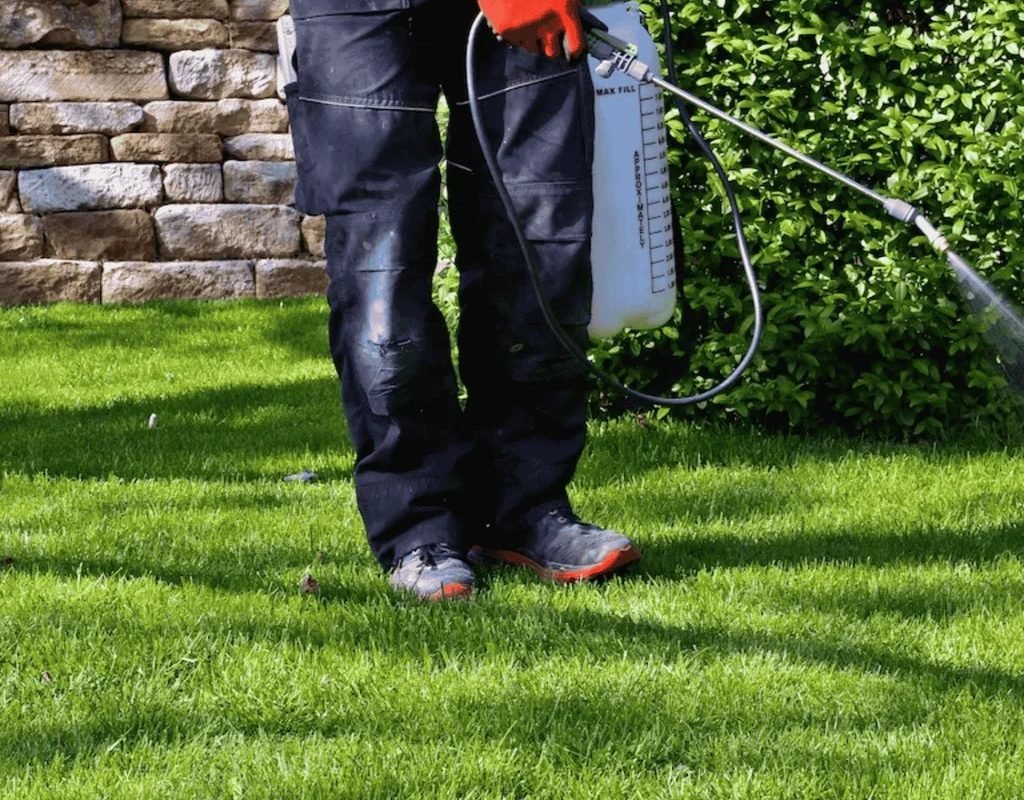 Close-up of a technician’s hand spraying pre-emergent herbicide along a lawn’s edge with a handheld pump sprayer, preventing weed germination.